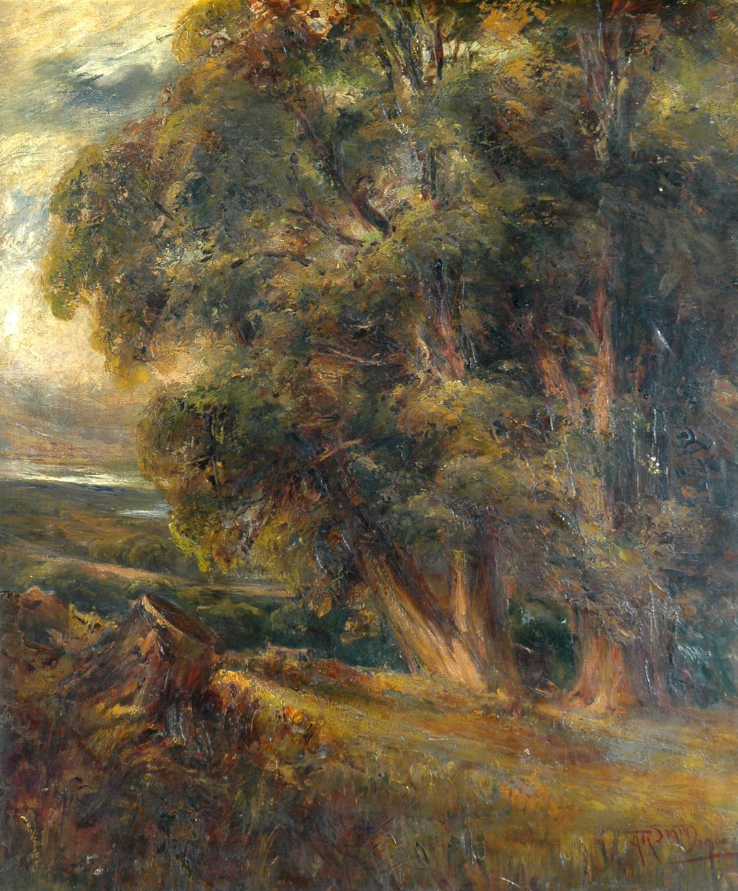 Estudio de árbol de Arthur Reginald Smith