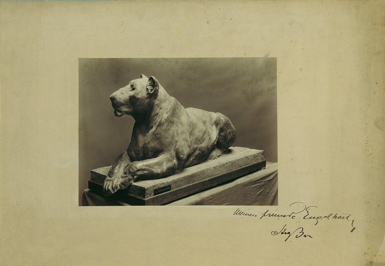 leona de Arthur Strasser