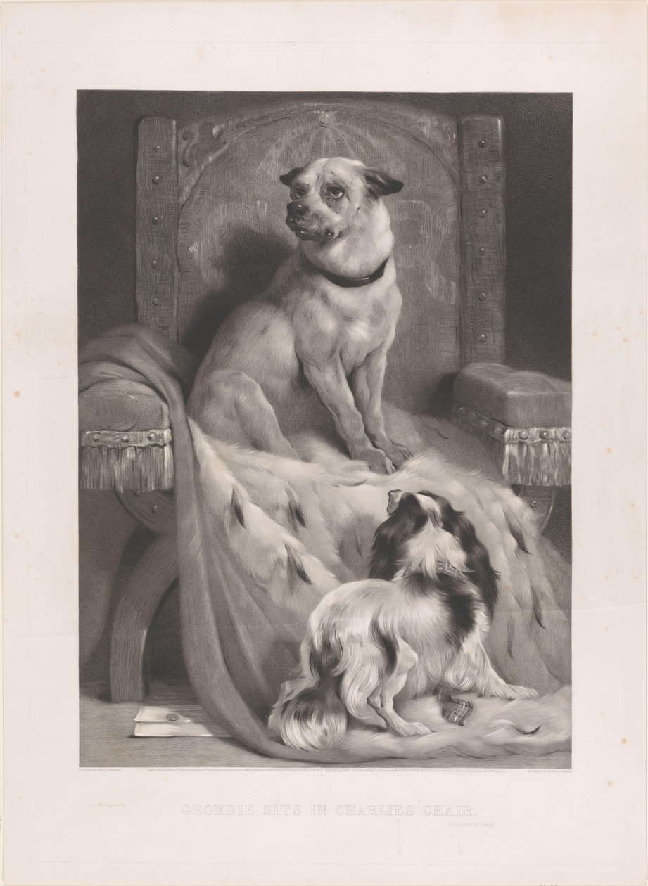 Perro en una capa de armiño en un trono Geordie se sienta en la silla de Charlie (título sobre el objeto) de Arthur Turrell