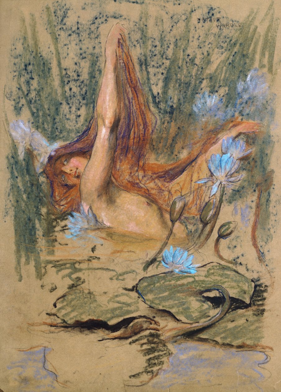 Nymphea, c.1890 (pastel, lápiz y acuarela sobre papel) de Arthur Wardle