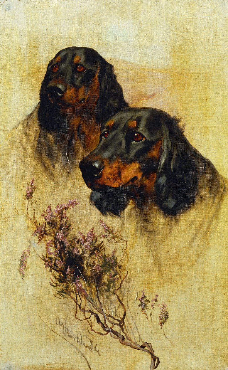 Dos Gordon Setters (óleo sobre lienzo) de Arthur Wardle