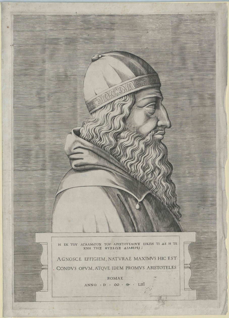 Aristóteles (imprimir) de Artist Unknown
