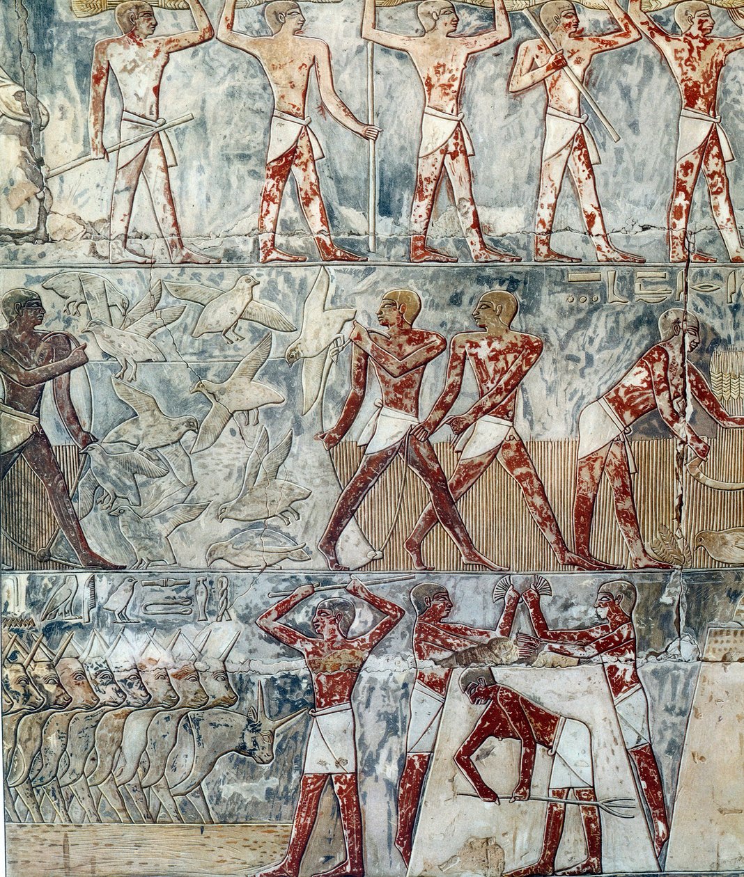 Arte Egipto: escena agrícola, VI dinastía de Artist Unknown