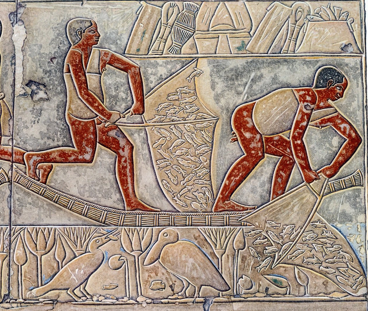 Arte Egipto: la pesca en el agotamiento. Colegio es similar a la Mastaba de Mereruka. de Artist Unknown