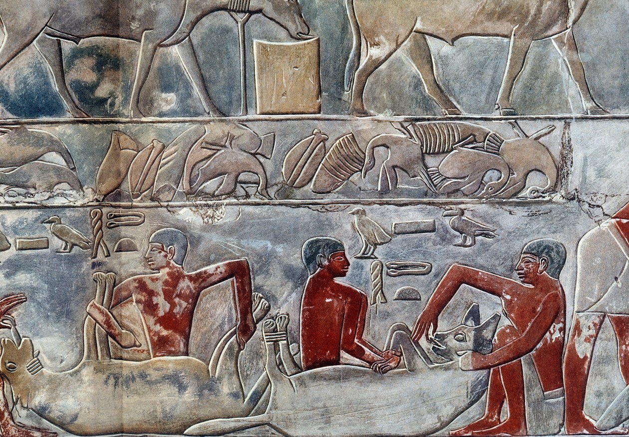 Arte Egipto: gavage de un hyene. Colegio similar a la Mastaba de Mereruka. de Artist Unknown