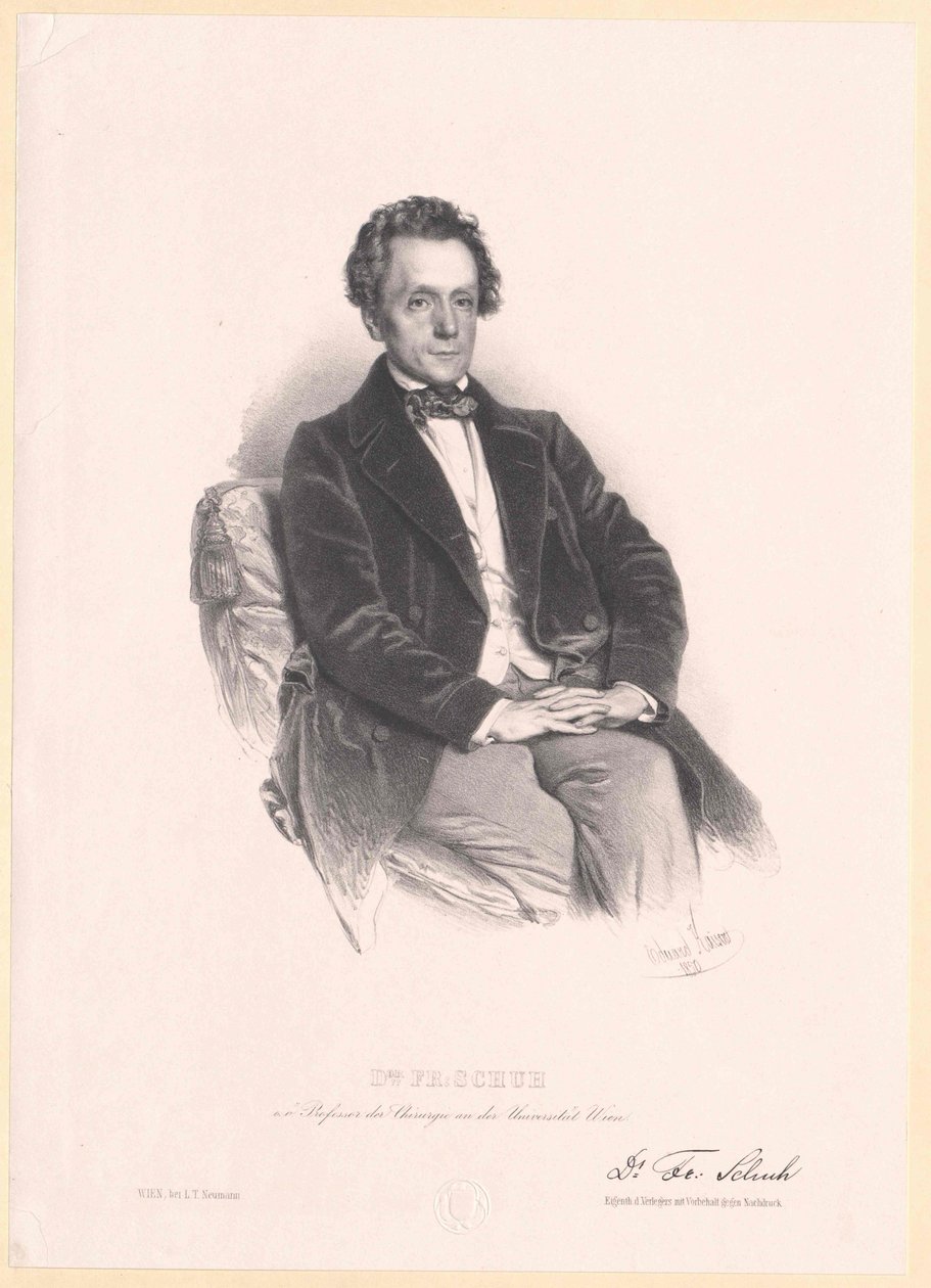 Zapato Franz de Artist Unknown