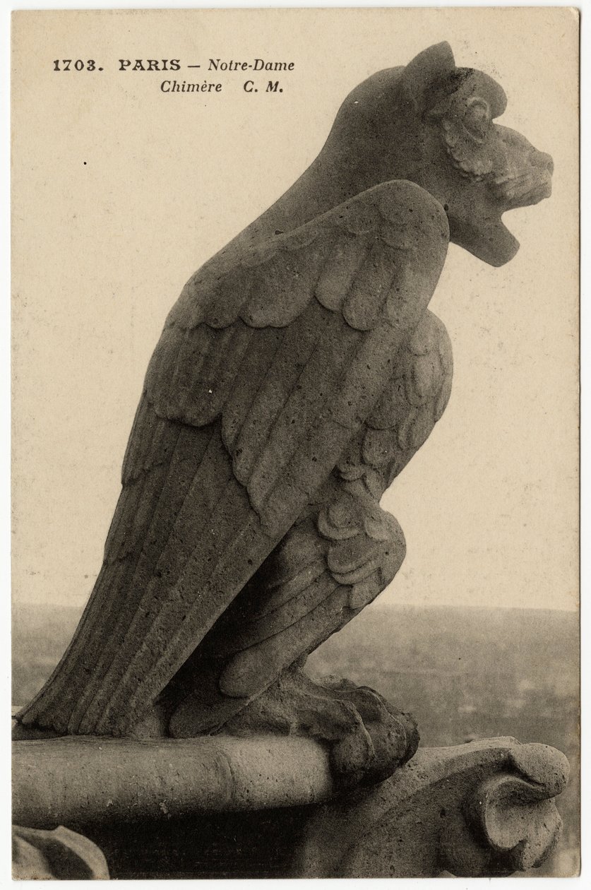 Gárgola o chimere de la catedral Notre Dame de París, construida entre 1163 y el siglo XIV - Tarjeta postal, colección Selva de Artist Unknown