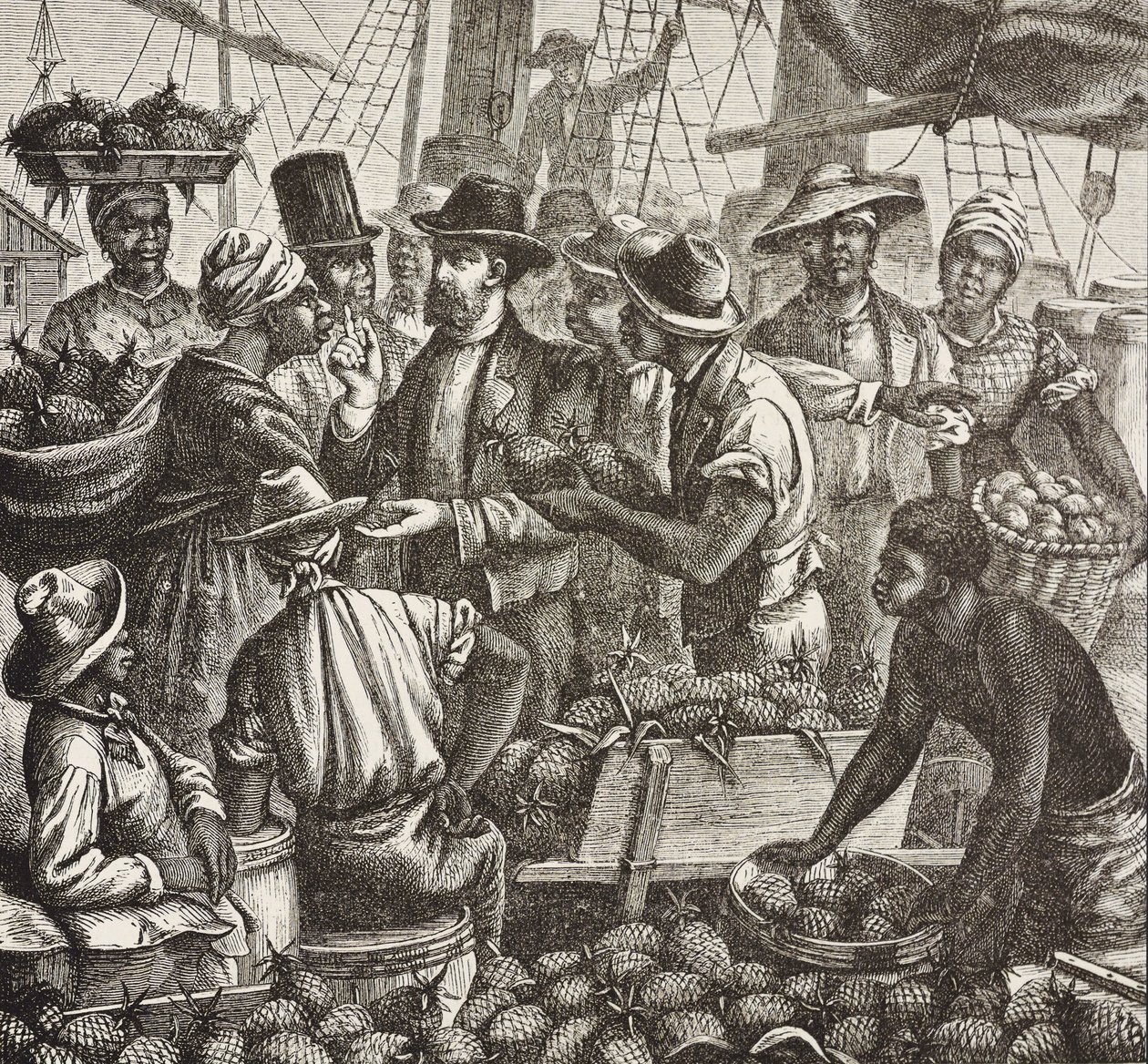 Historia de Inglaterra (siglo XIX). Colonización (1880). Bahama vendiendo piñas. Colonia inglesa en la isla de Nueva Providencia. Las piñas eran uno de los productos de exportación más importantes del puerto de Nassau. Grabado. Colección privada de Artist Unknown