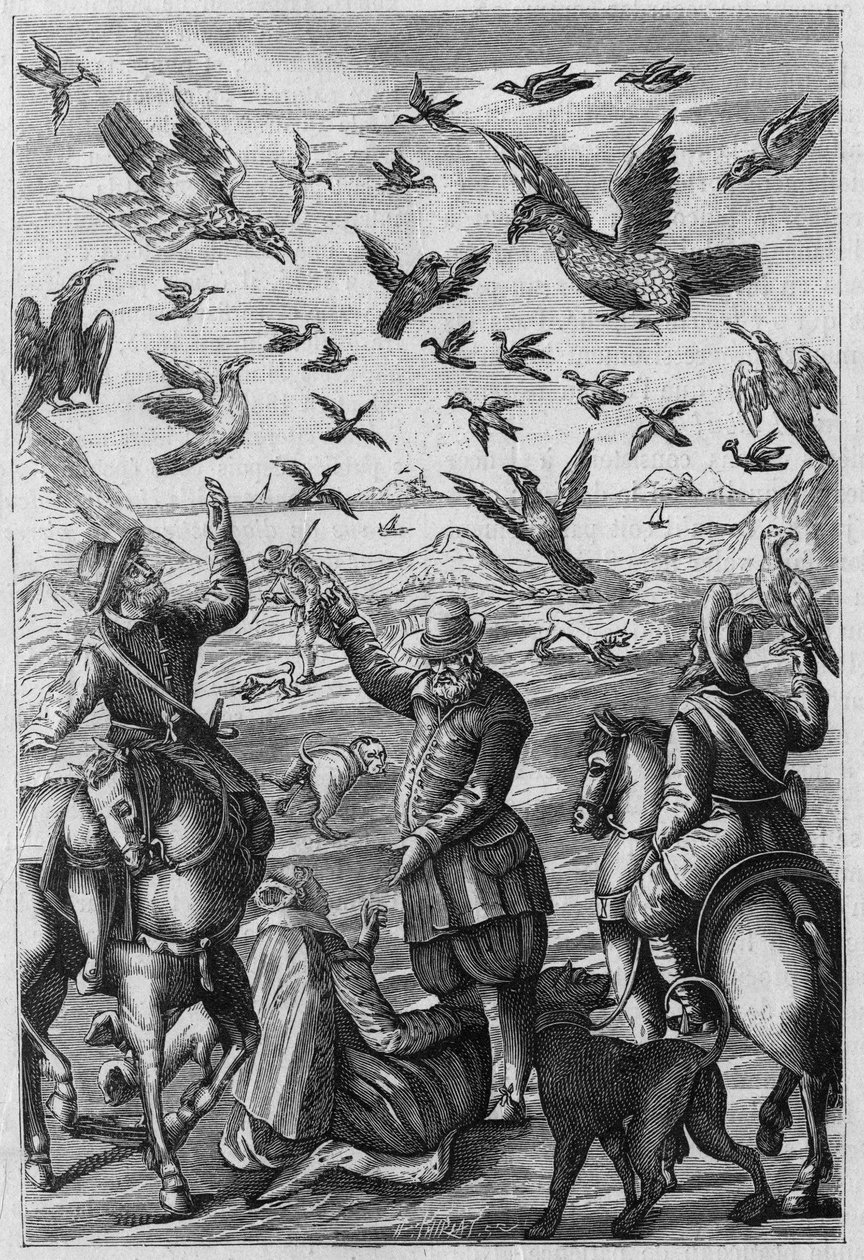 Ilustración para "La Nature: revue des sciences et de leurs applications aux arts et a l