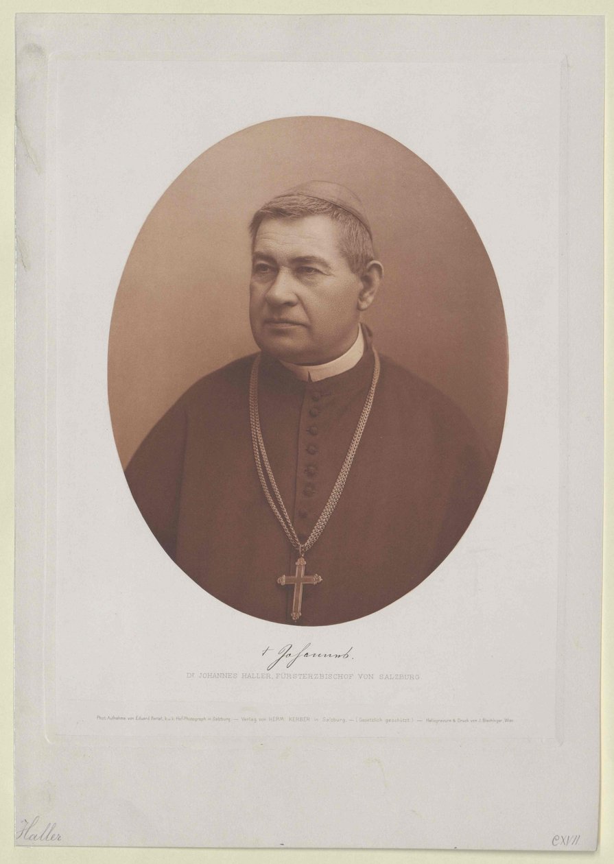 Johannes Haller (imprimir) de Artist Unknown