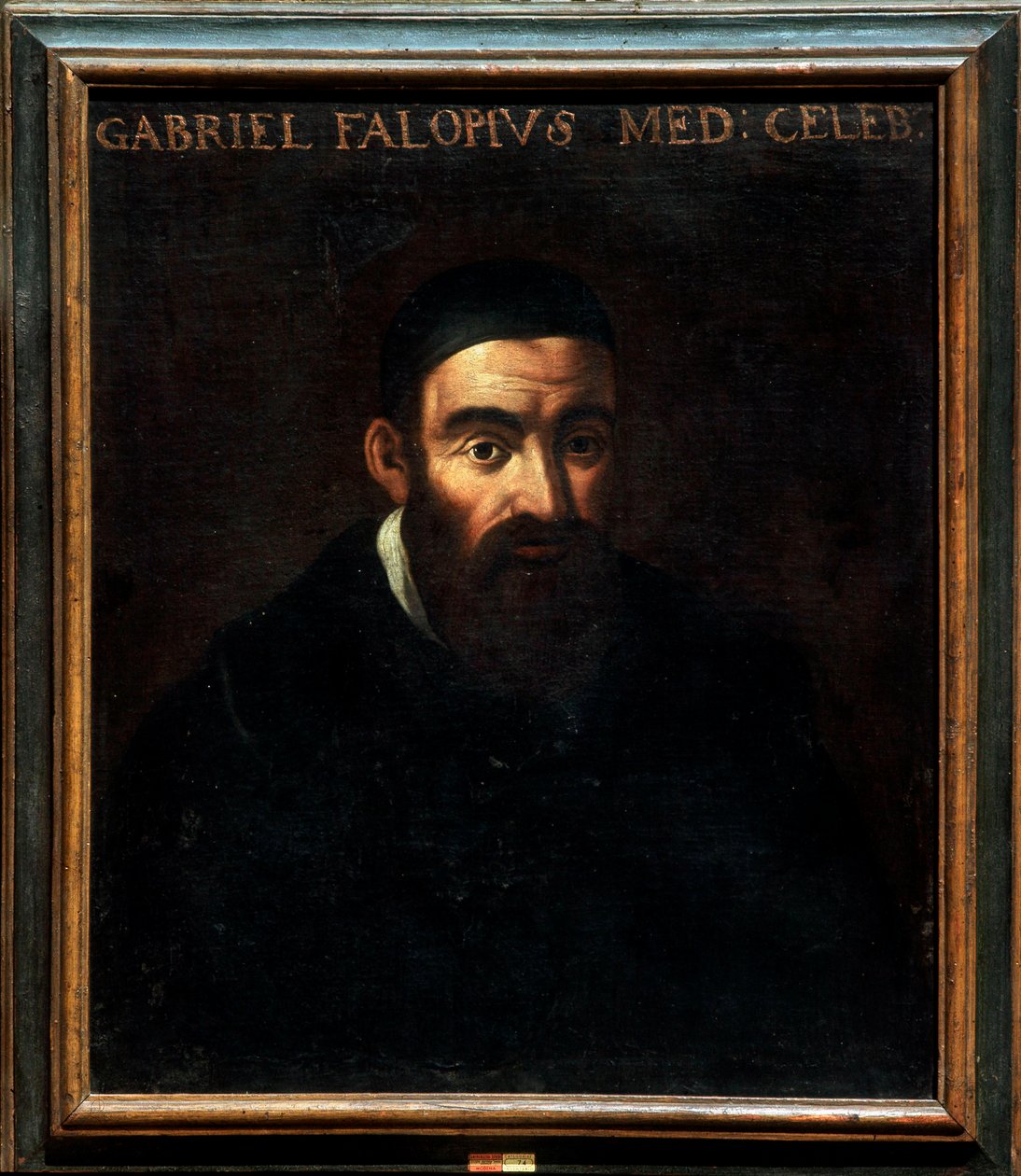 Retrato de Gabriele Falloppia o Falloppio de Artist Unknown