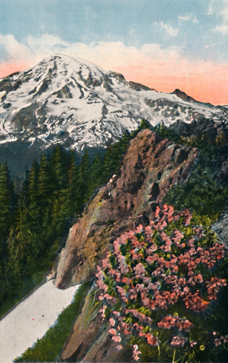 La prímula en el Monte Rainier de Asahel Curtis