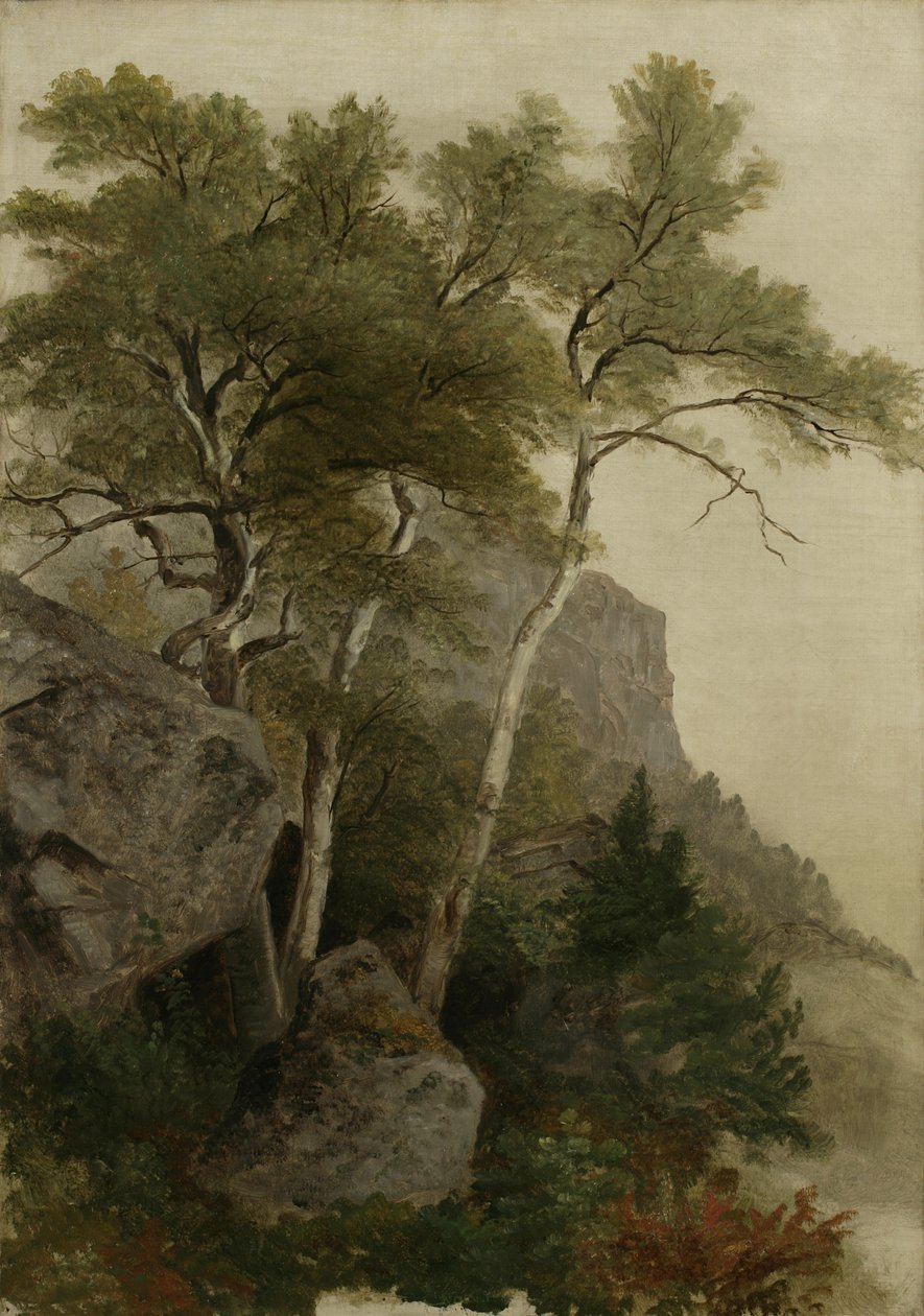 Paisaje, 1855 de Asher Brown Durand