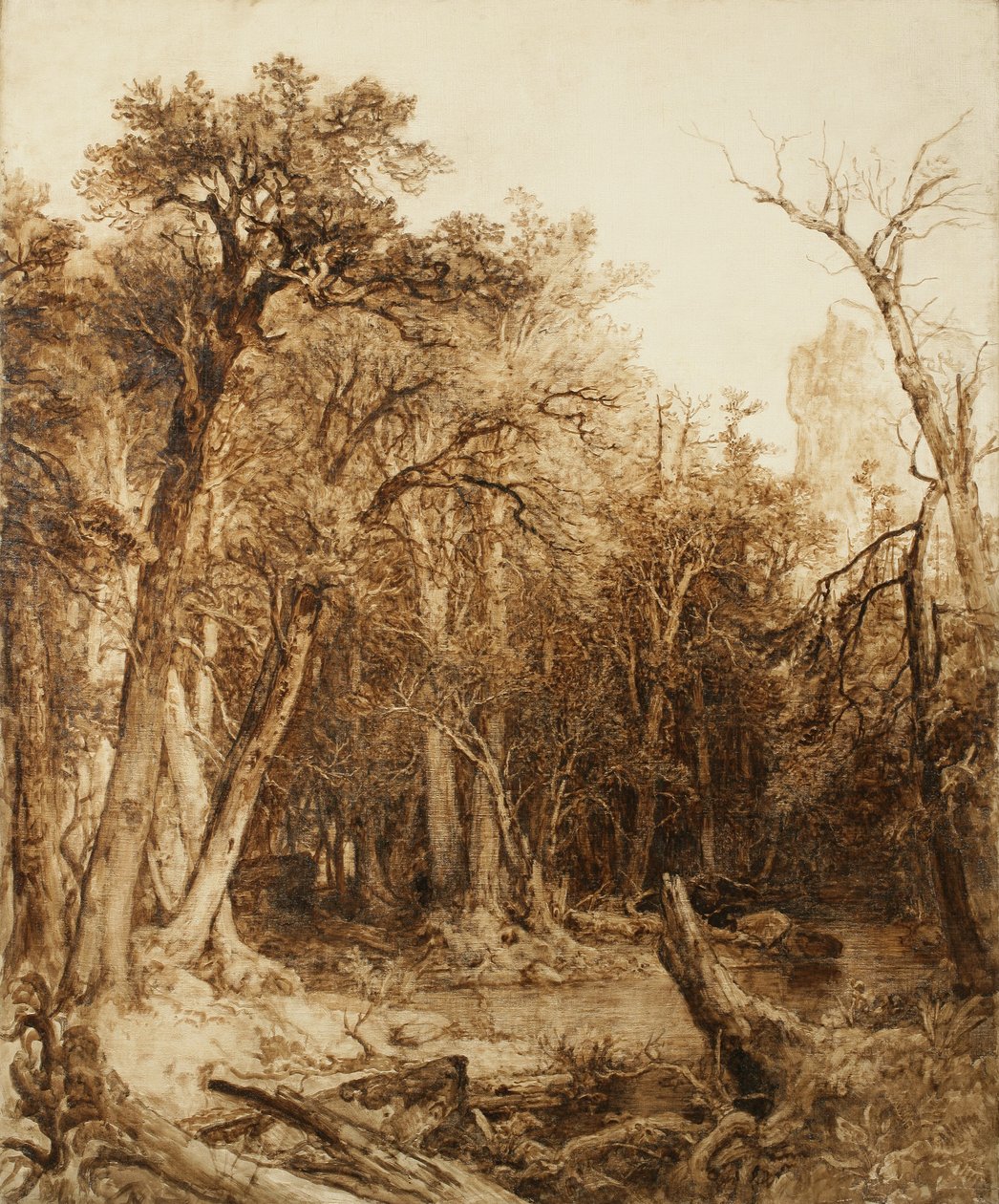 Bosque primitivo, 1854 de Asher Brown Durand