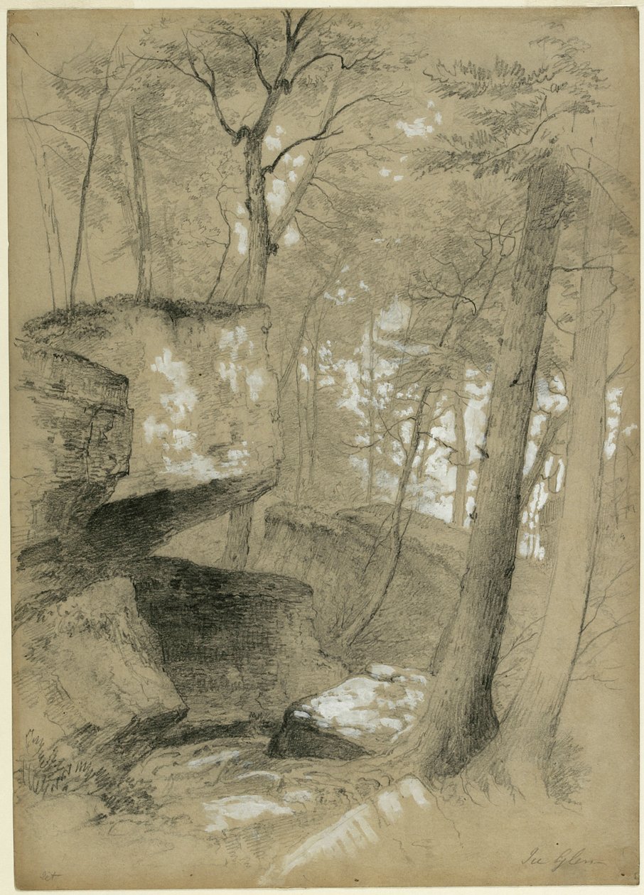 Estudio de rocas y árboles en Ice Glen, Stockbridge, Massachusetts, 1851 de Asher Brown Durand
