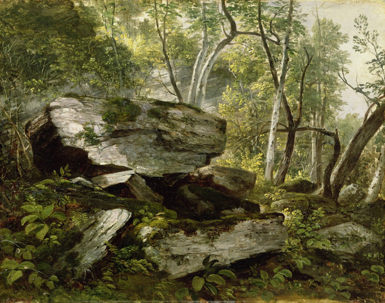 Estudio de la naturaleza: rocas y árboles, c.1856 de Asher Brown Durand
