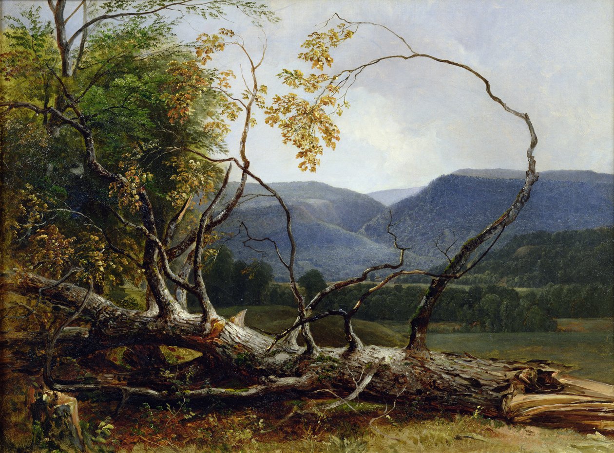 Estudio de la naturaleza, Stratton Notch, Vermont, 1853 de Asher Brown Durand