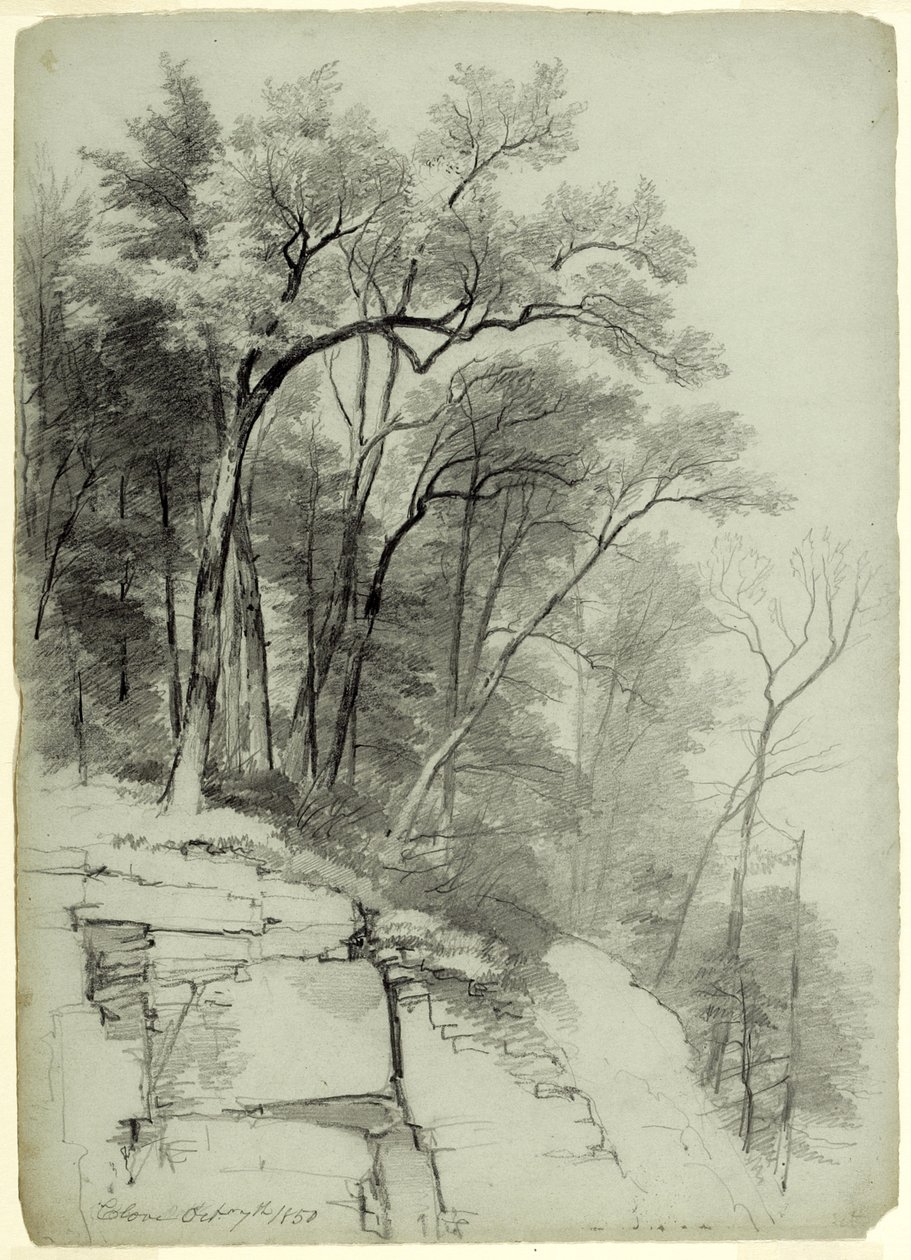 Estudio de árboles y rocas, Catskill Clove, Nueva York, 1850 de Asher Brown Durand