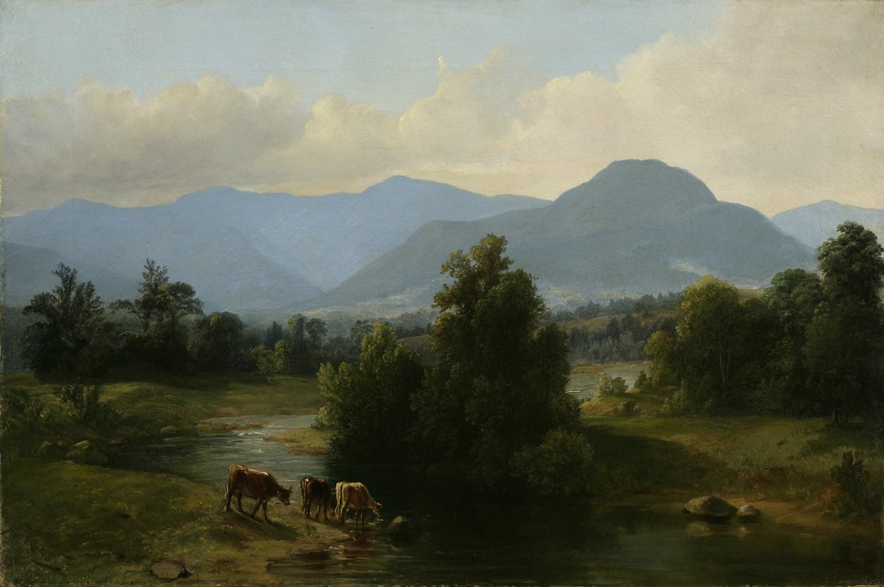 Vista de las Montañas Shandaken, Nueva York, 1853 de Asher Brown Durand