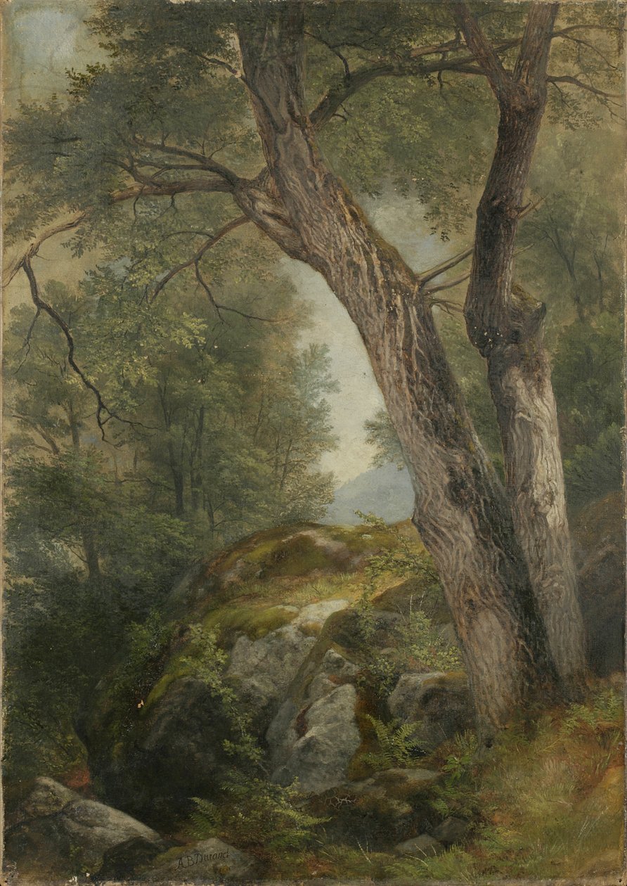 Árbol de Nuez en Hague, Lago George, NY, 1862 de Asher Brown Durand
