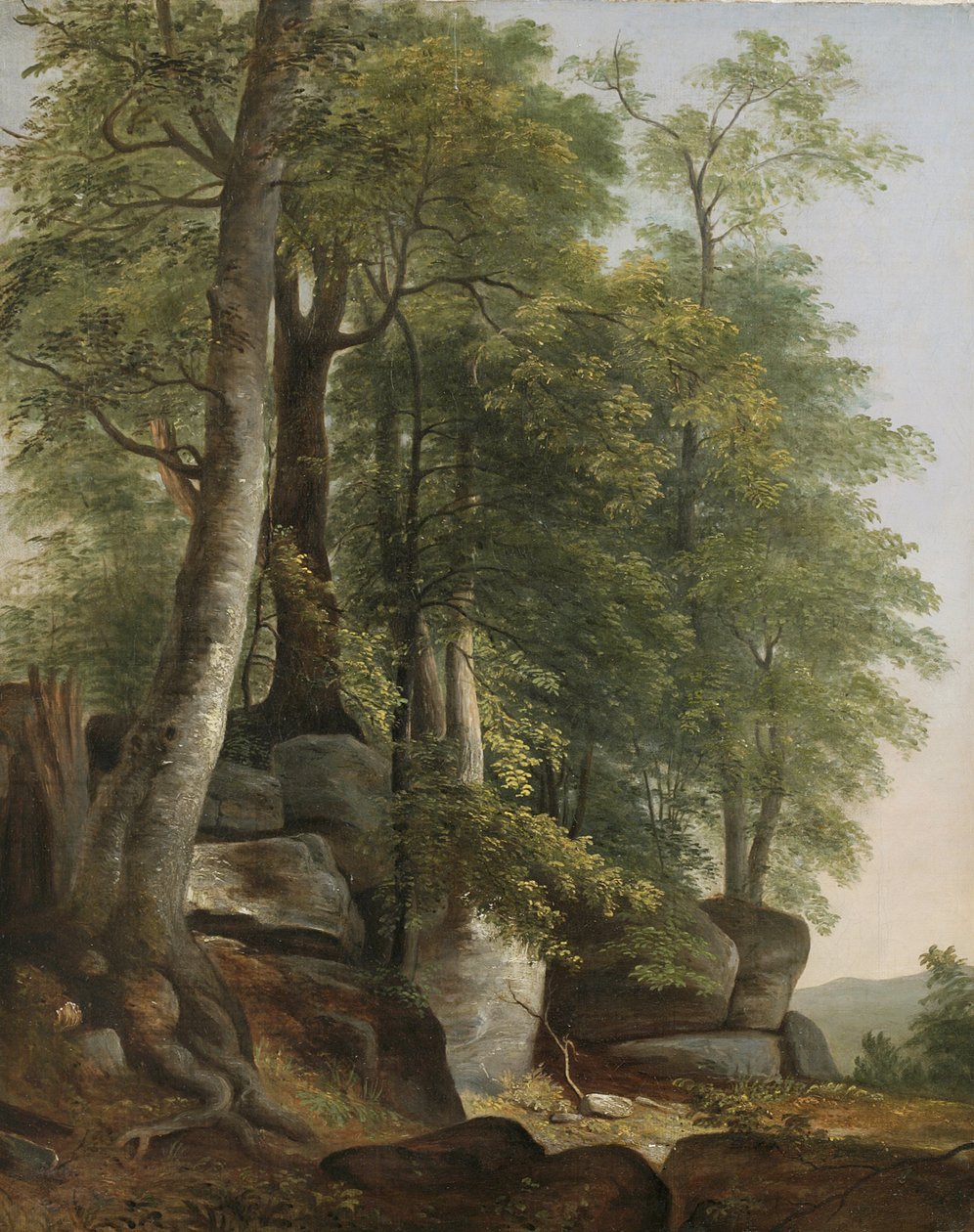 Paisaje con rocas y árboles de Asher Brown Durand