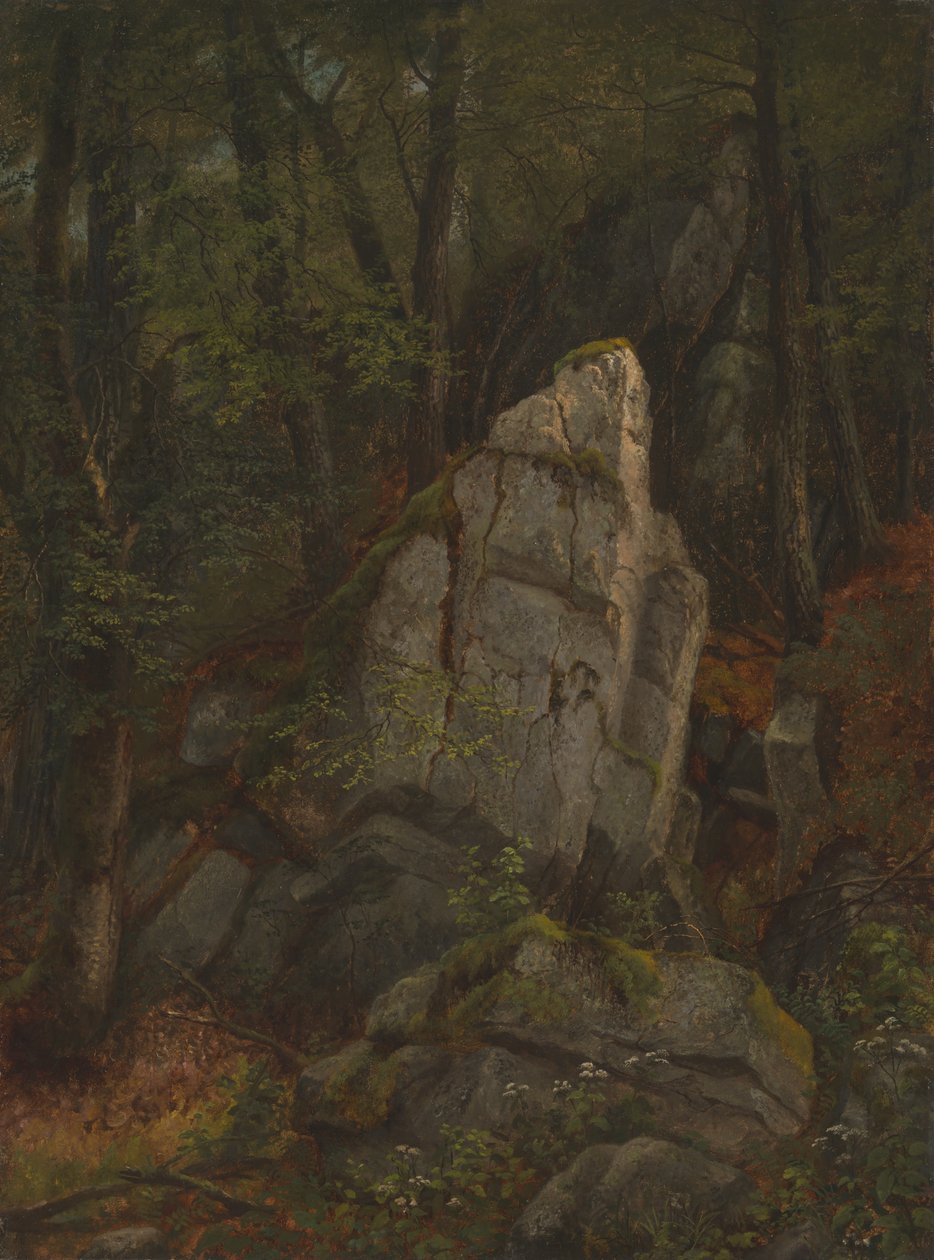 Estudio de rocas en el barranco de Pearson, mediados de la década de 1850 de Asher Brown Durand