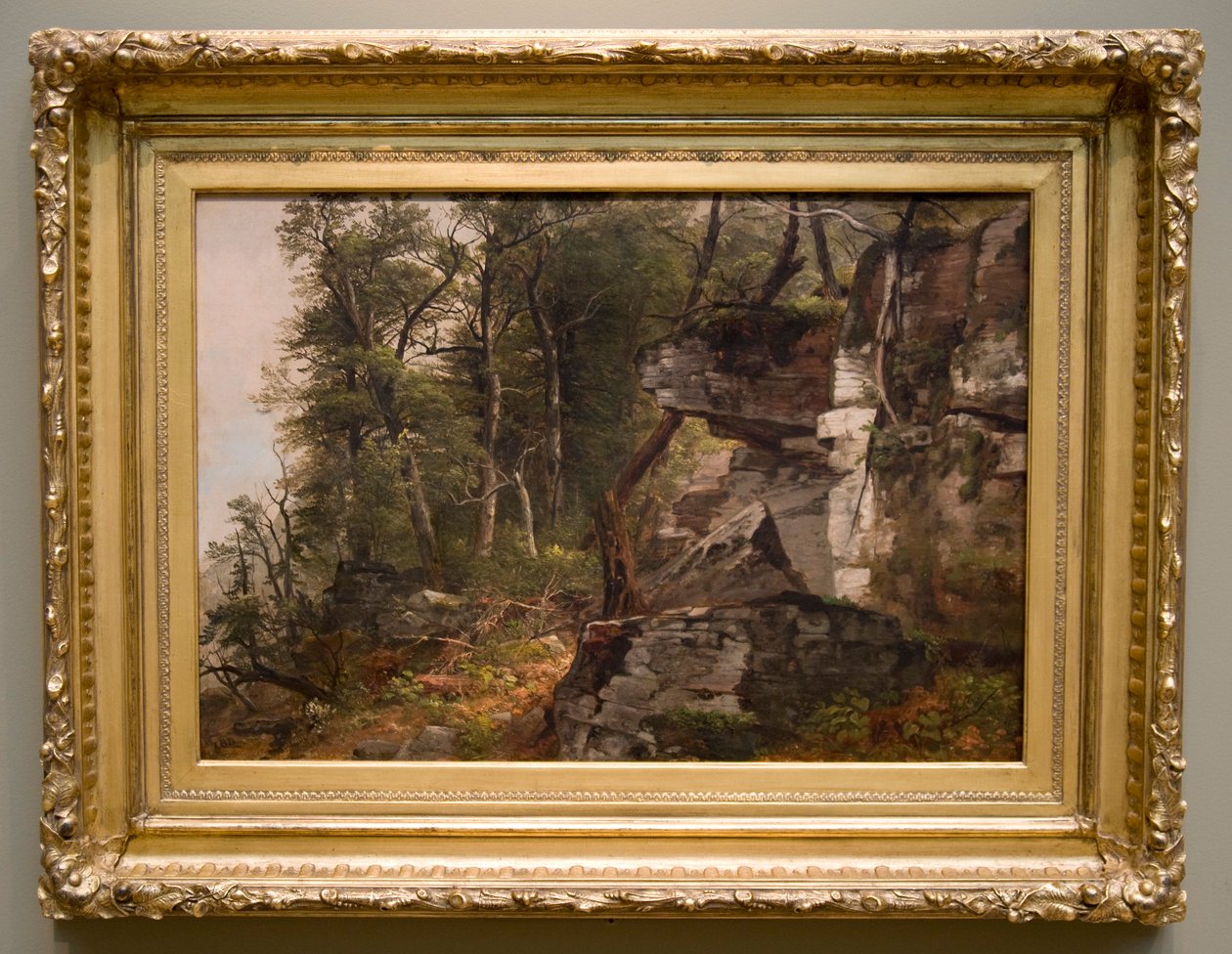 Árboles en una ladera rocosa, c. 1849 de Asher Brown Durand
