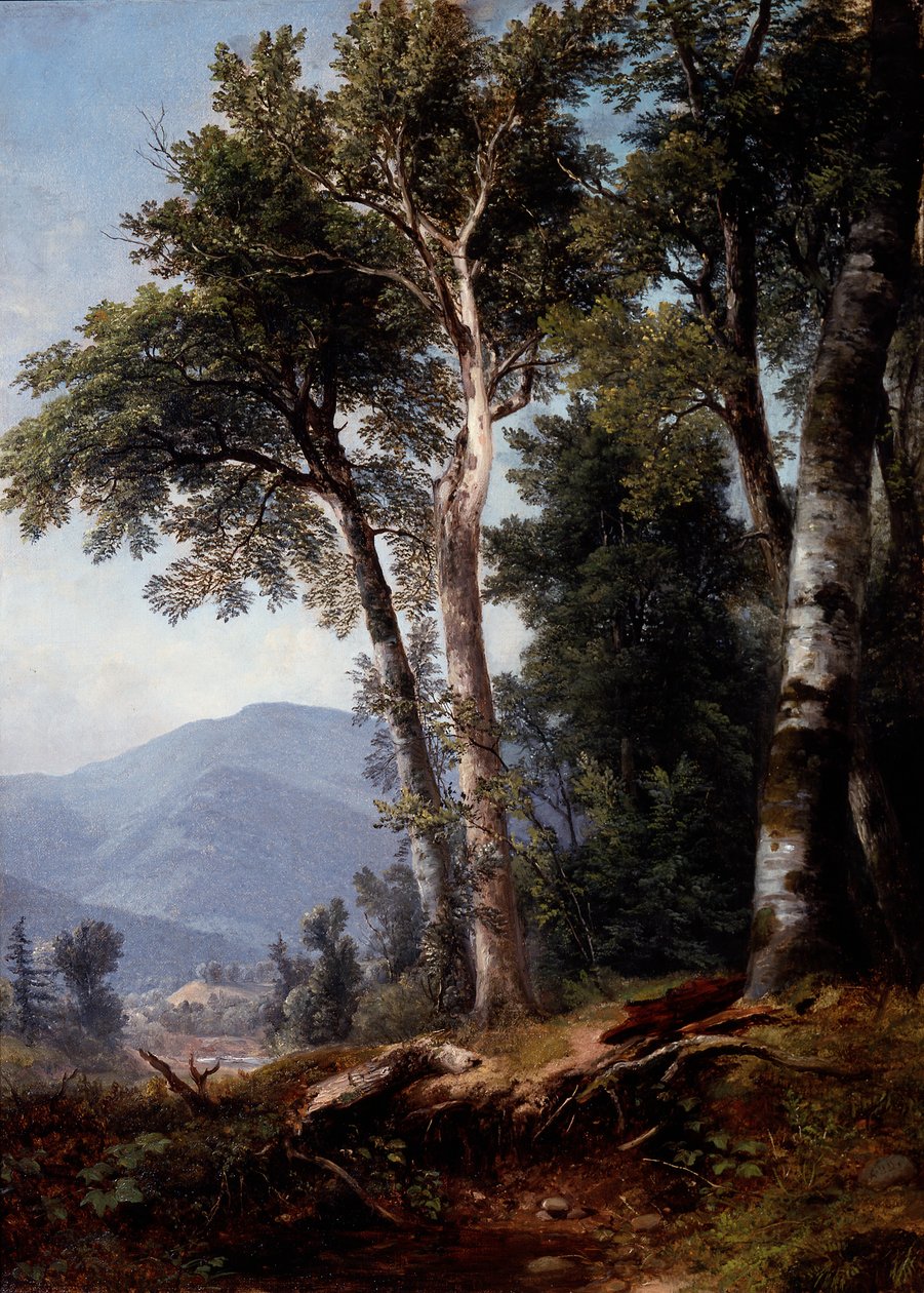 Paisaje boscoso, c.1850 (óleo sobre lienzo) de Asher Brown Durand