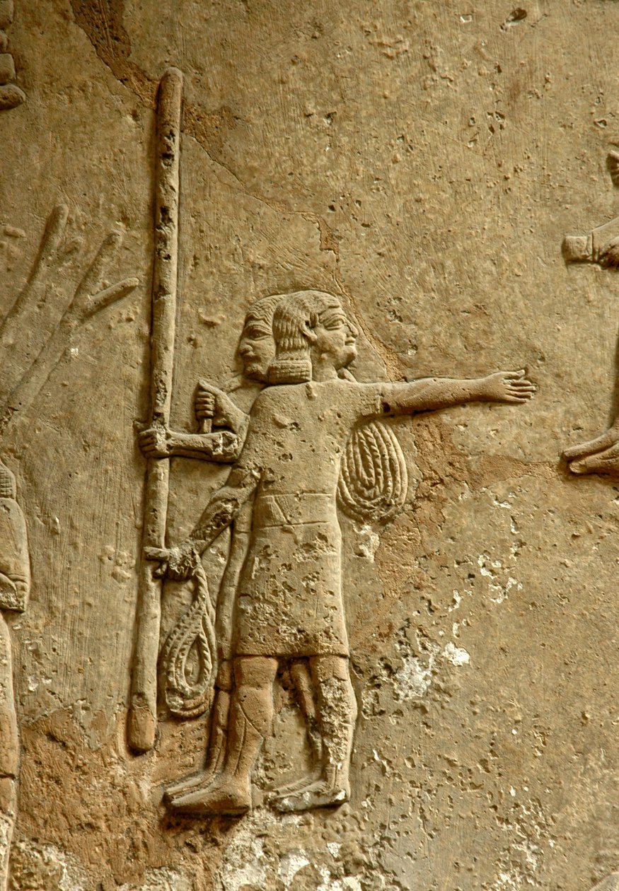Relieve que representa un sitio de construcción, Palacio de Asurbanipal, Nínive, c.645 a.C. de Assyrian