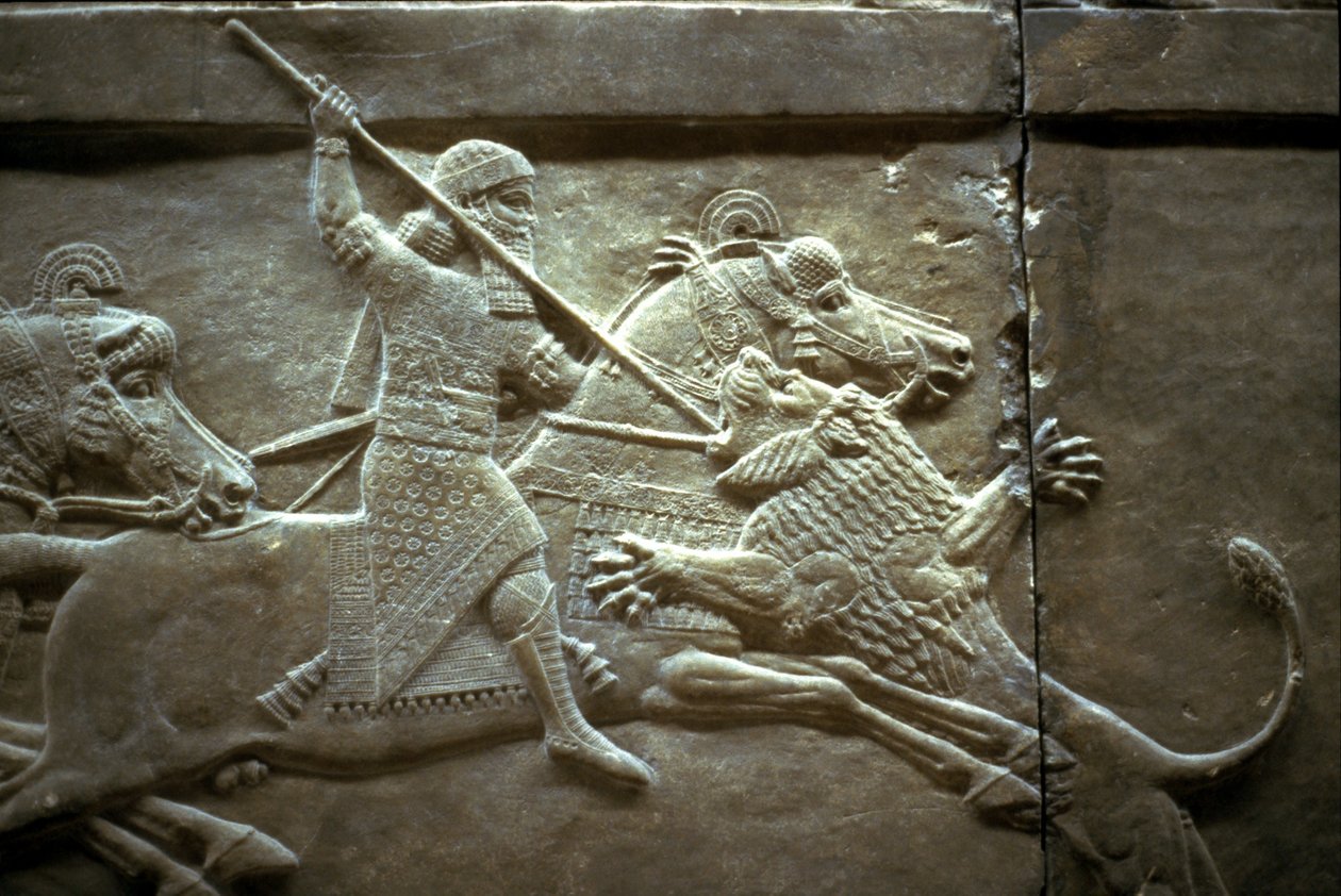 El rey Asurnasirpal II durante una cacería real de leones, 650-620 a.C. de Assyrian