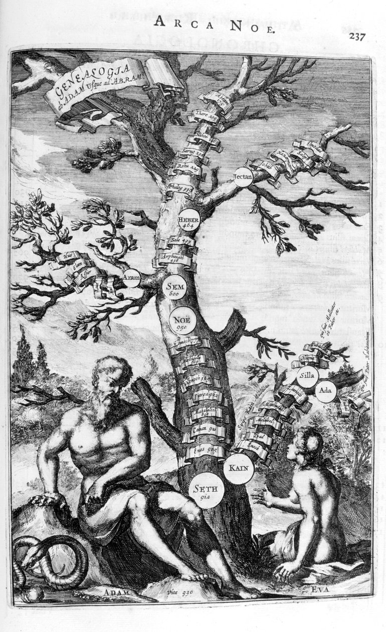 Árbol genealógico de Adán, 1675 de Athanasius Kircher