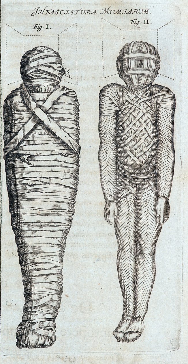 Momias - en “Sphynx mystagoga” de Athanase Kircher de Athanasius Kircher
