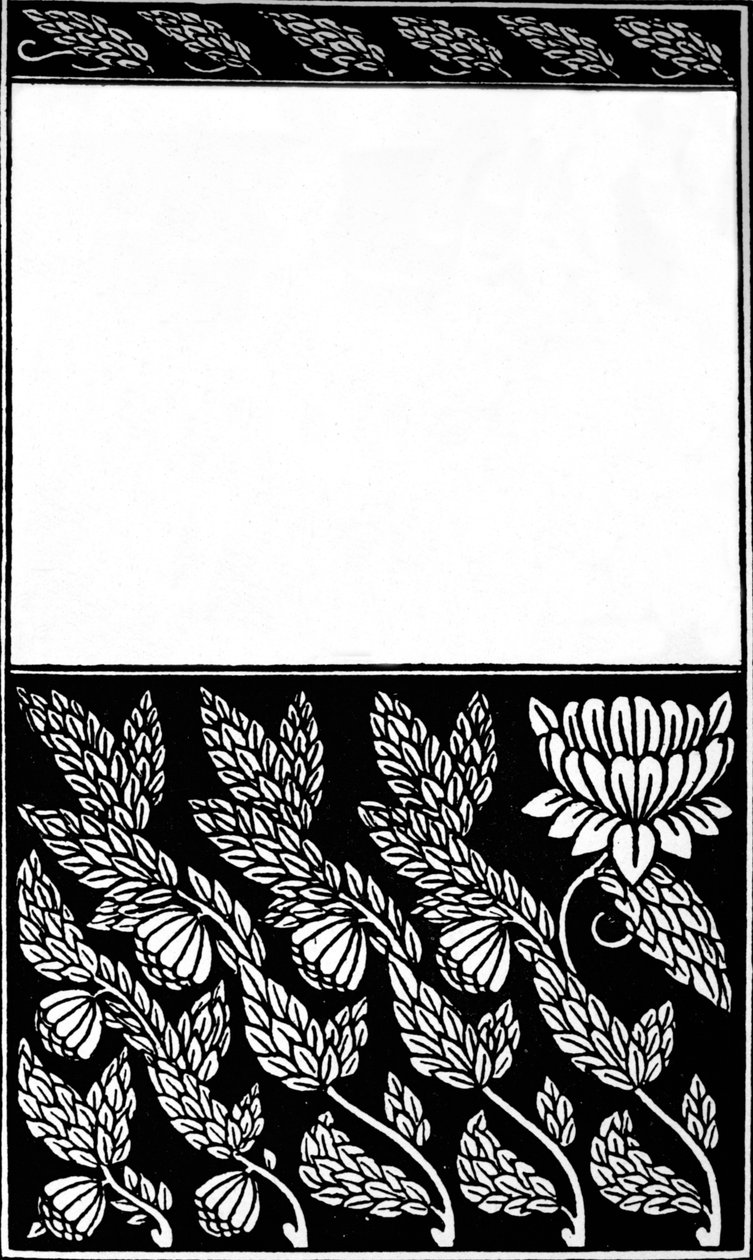Diseño para la portada de Nobody