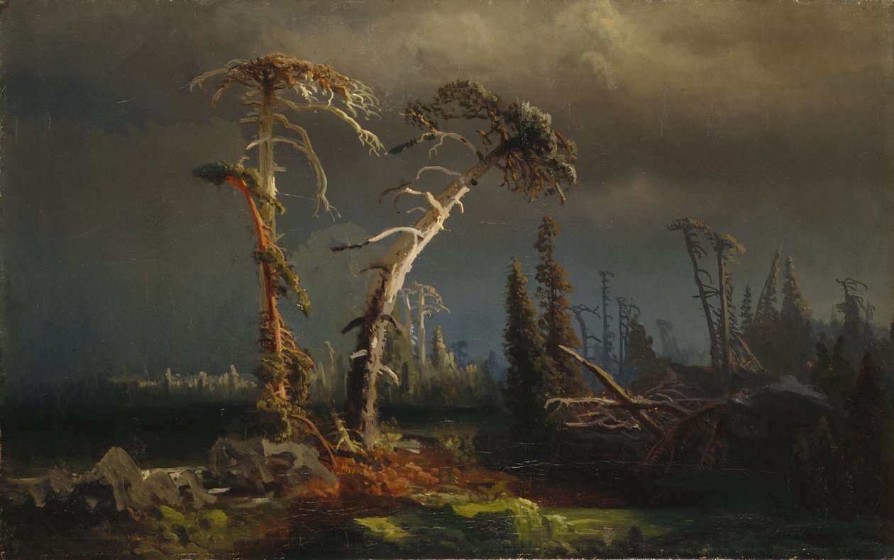 Tormentas crecientes: bosque primitivo extinto en tormentas (óleo sobre lienzo) de August Cappelen