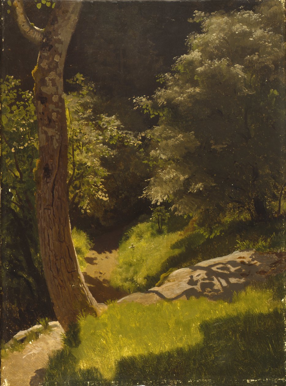 Paisaje de parque con sendero de jardín (óleo sobre lienzo) de August Cappelen