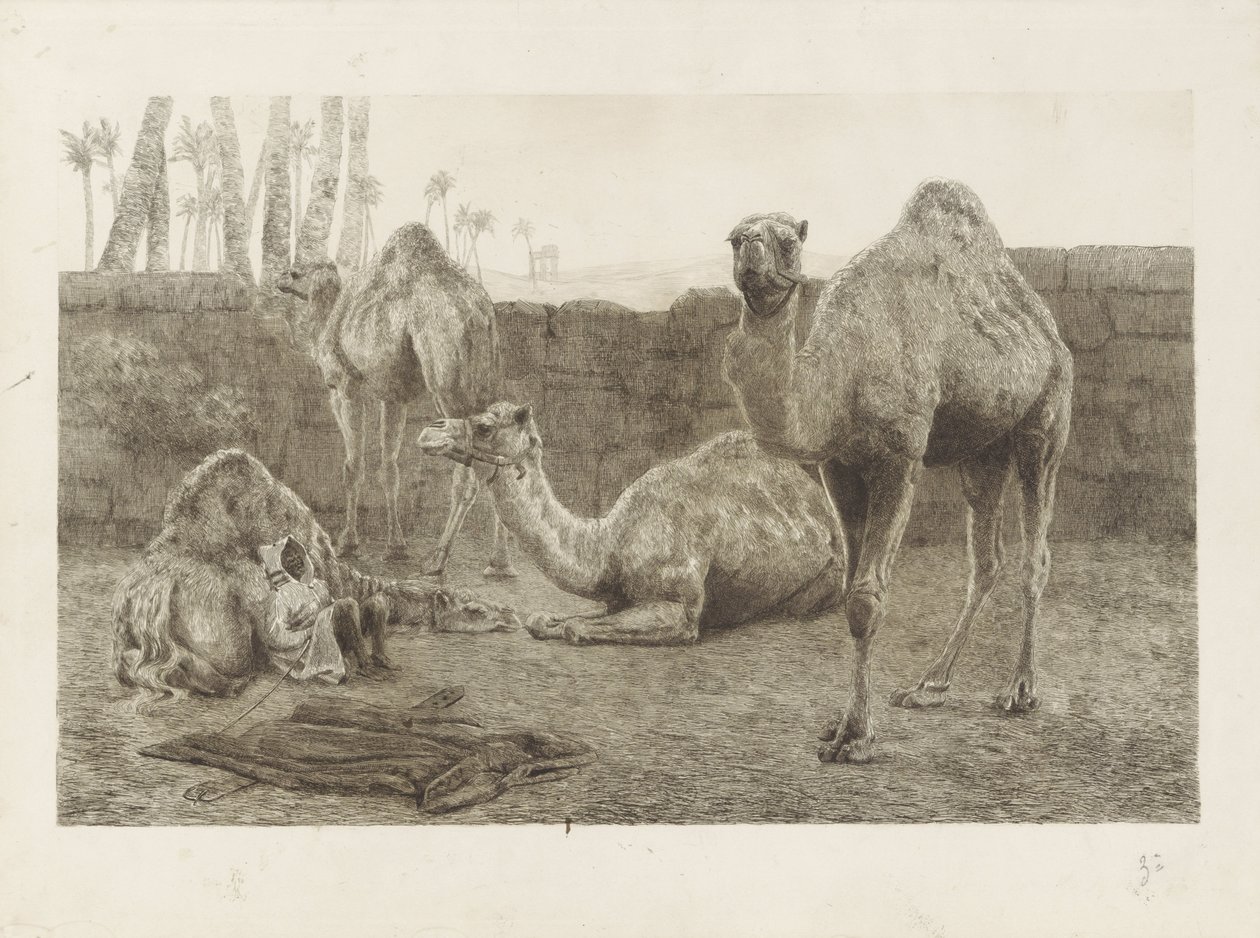 camellos de August Le Gras