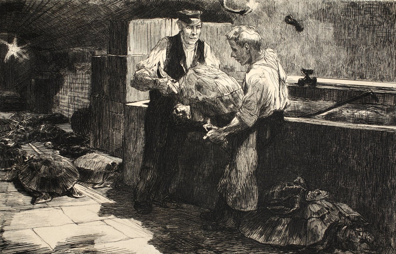 Ilustración de 