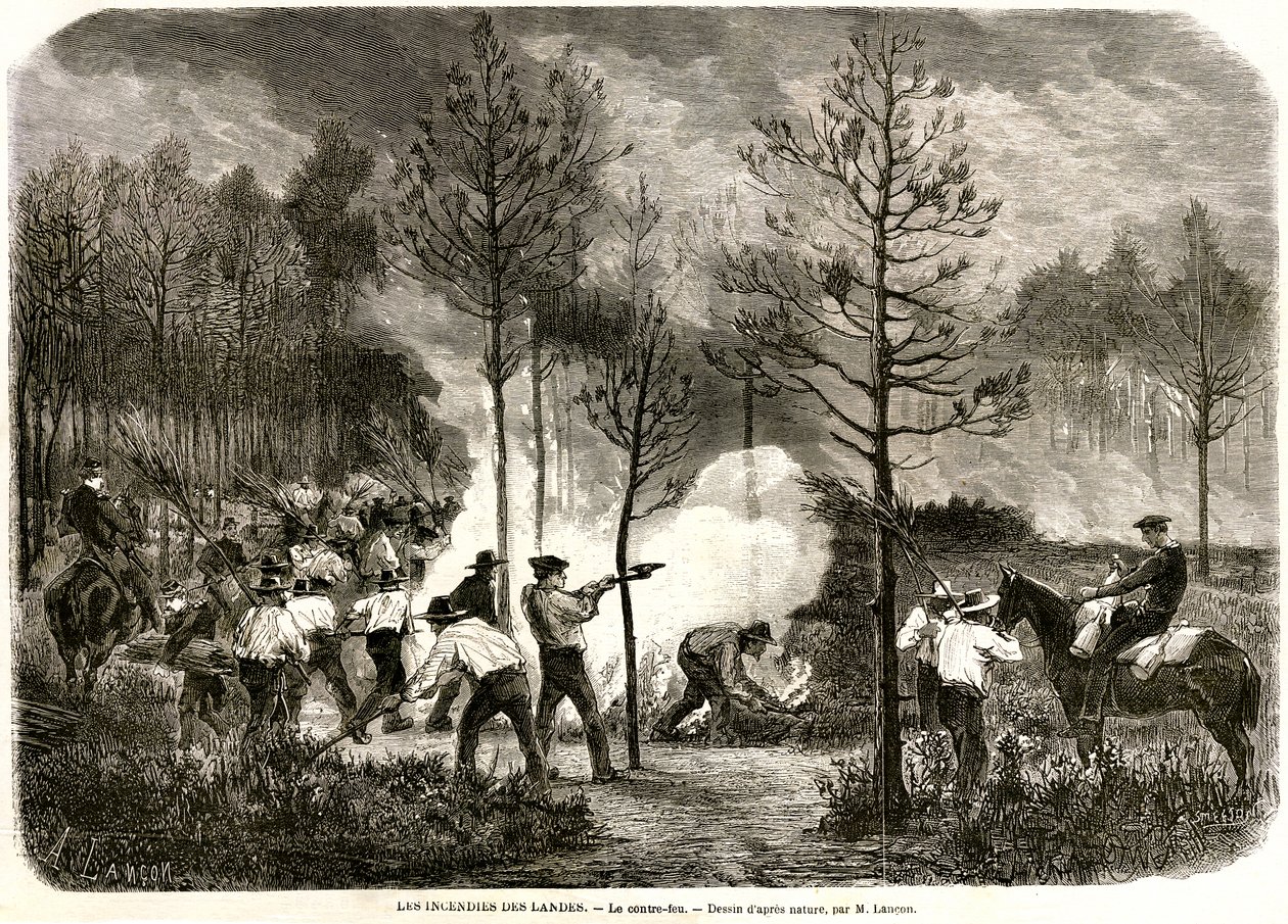 El gran incendio de las Landas, el contrafuego de Auguste Andre Lancon