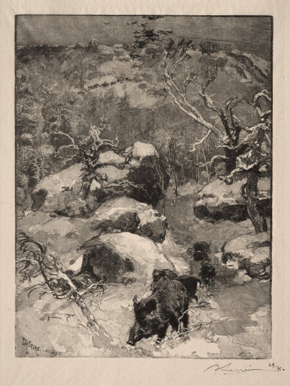 Roca Cuvier Chatillon de Auguste Louis Lepère