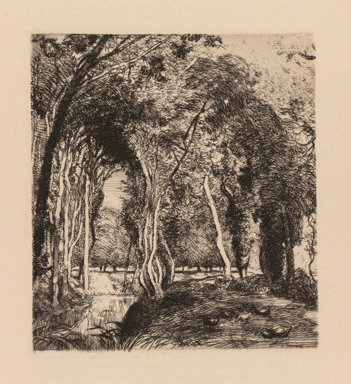 Auguste Lepère: Sotobosque, en La Rigonette (Vendèe) de Auguste Louis Lepère