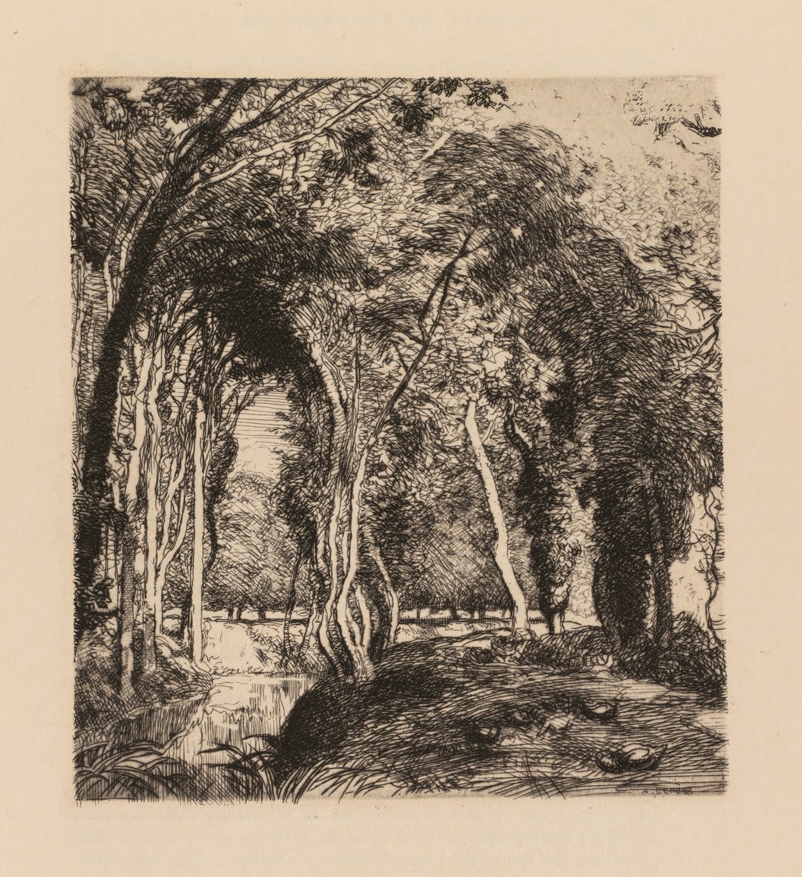 Auguste Lepère: Sous bois, à la Rigonette Vendée de Auguste Louis Lepère