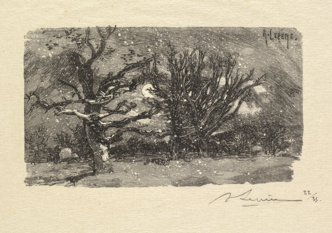 Bosque de Fontainebleau: Au dormoir de Lantara (La Forêt de Fontainebleau: Au dormoir de Lantara) de Auguste Louis Lepère