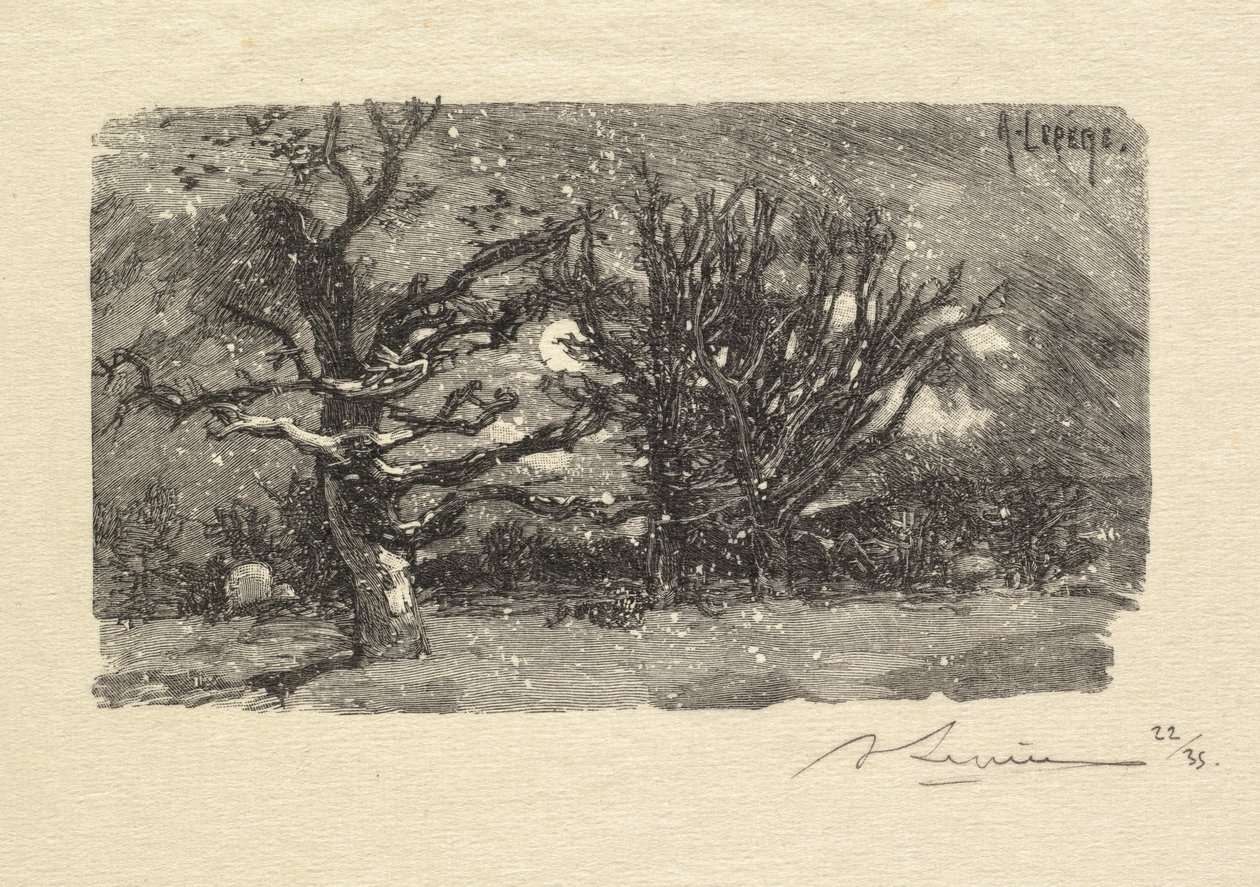 Bosque de Fontainebleau: En el dormitorio de Lantara, 1890 de Auguste Louis Lepère