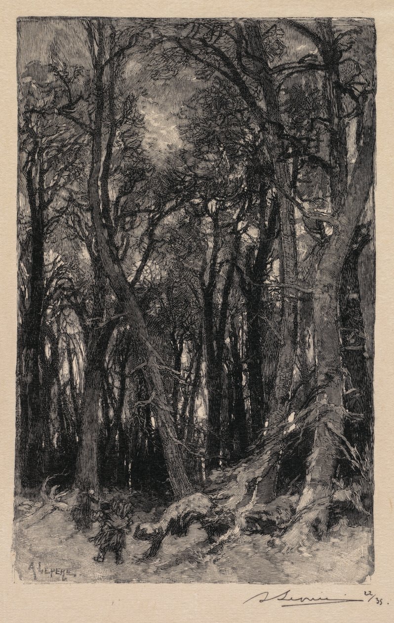 Bosque de Fontainebleau: Le Bas-Bréau, 1890 de Auguste Louis Lepère