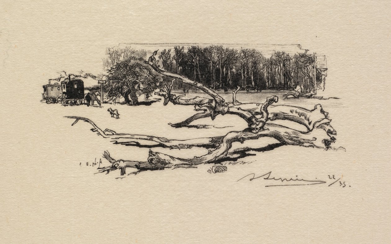 Bosque de Fontainebleau: Carrefour de l