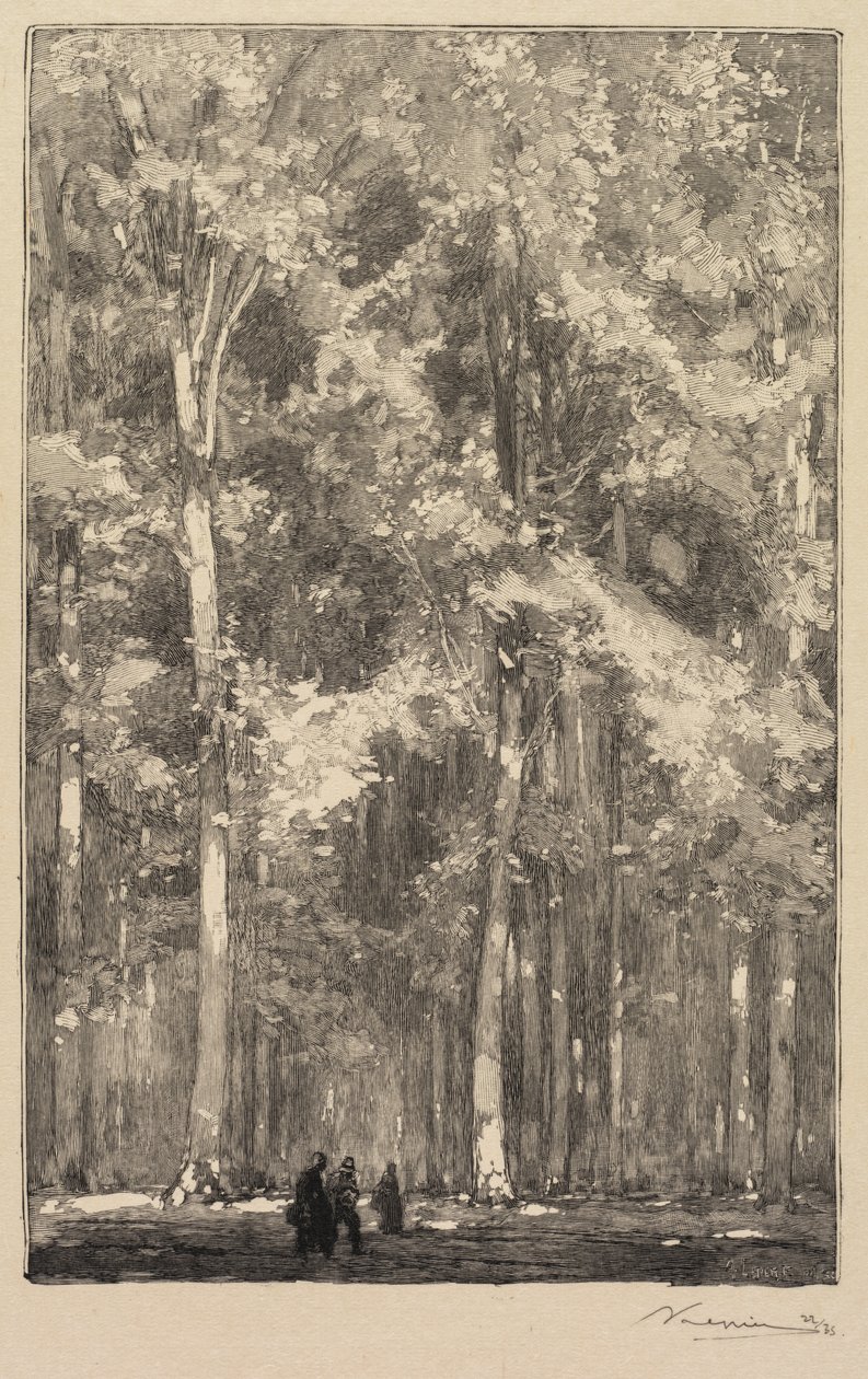 Bosque de Fontainebleau: mañana, encrucijada de la ruta de los Forts de Marlotte (La Forêt de Fontainebleau: Le Matin, Carrefour des Fort de Marlotte) de Auguste Louis Lepère