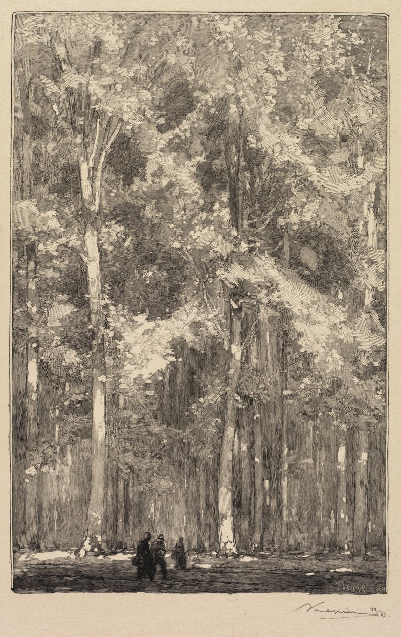 Bosque de Fontainebleau: Mañana, Encrucijada de la Ruta de los Fuertes de Marlotte..., 1890 de Auguste Louis Lepère