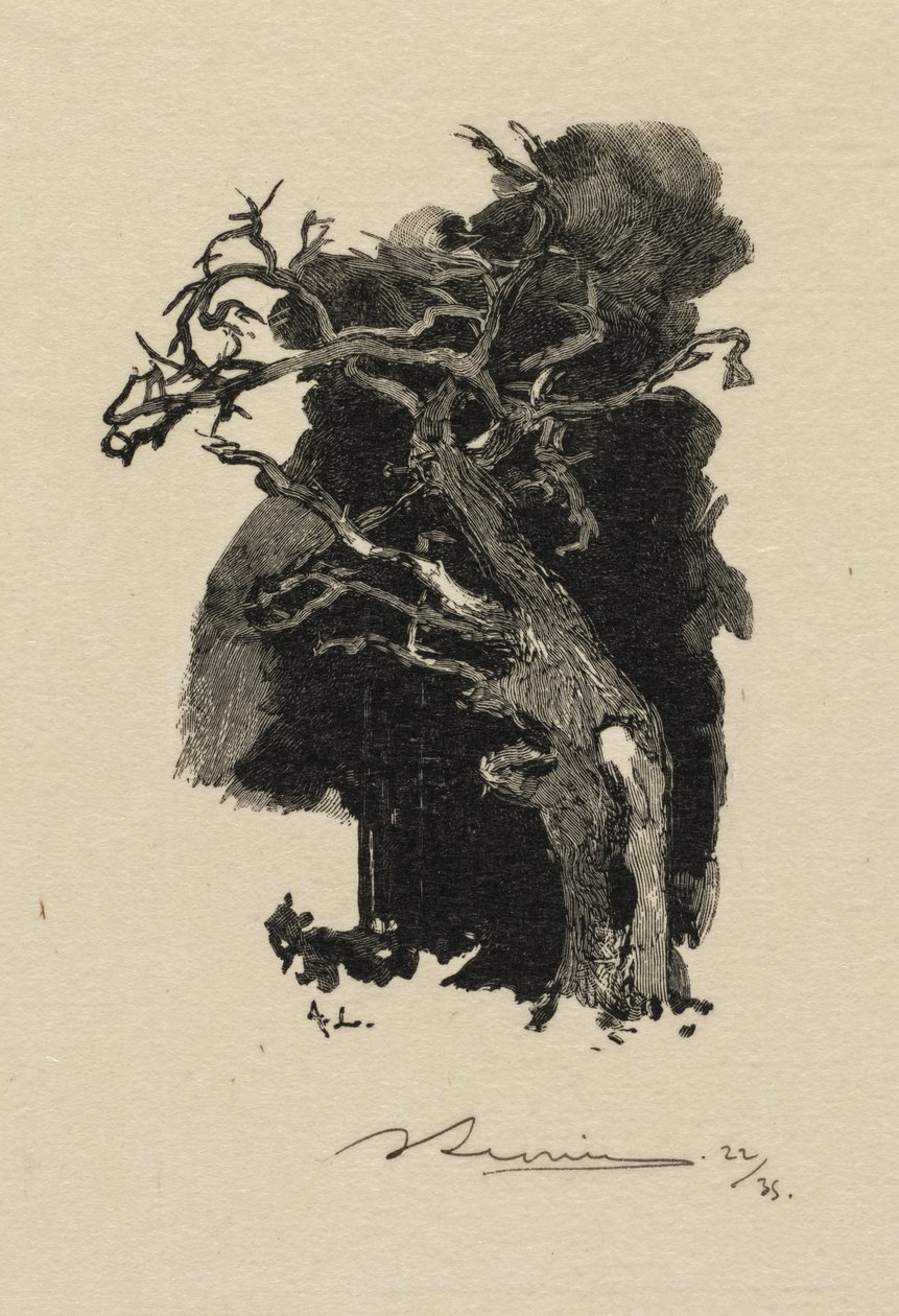 Bosque de Fontainebleau: El furioso de Auguste Louis Lepère