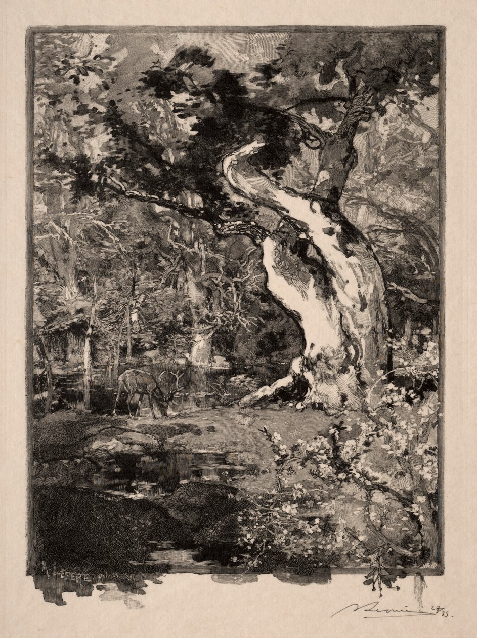 Le Clovis, Plateau de Bellecroix, 1890 de Auguste Louis Lepère