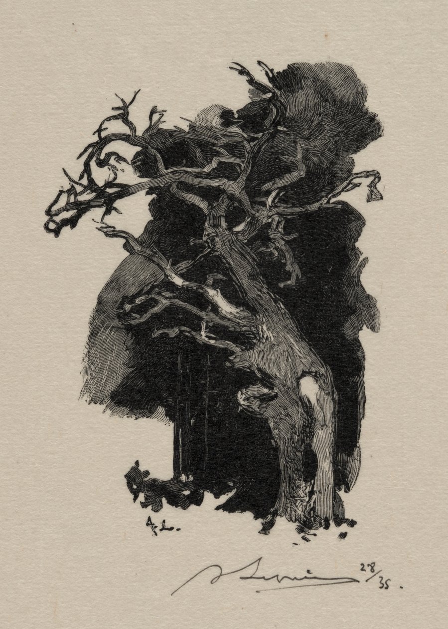 El Furioso de Auguste Louis Lepère
